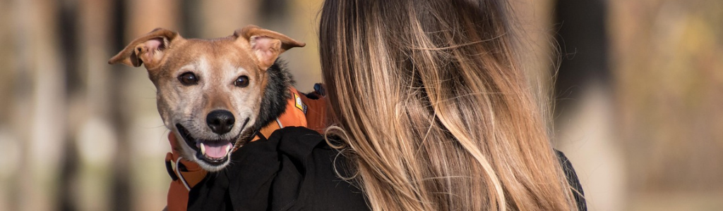犬と女性